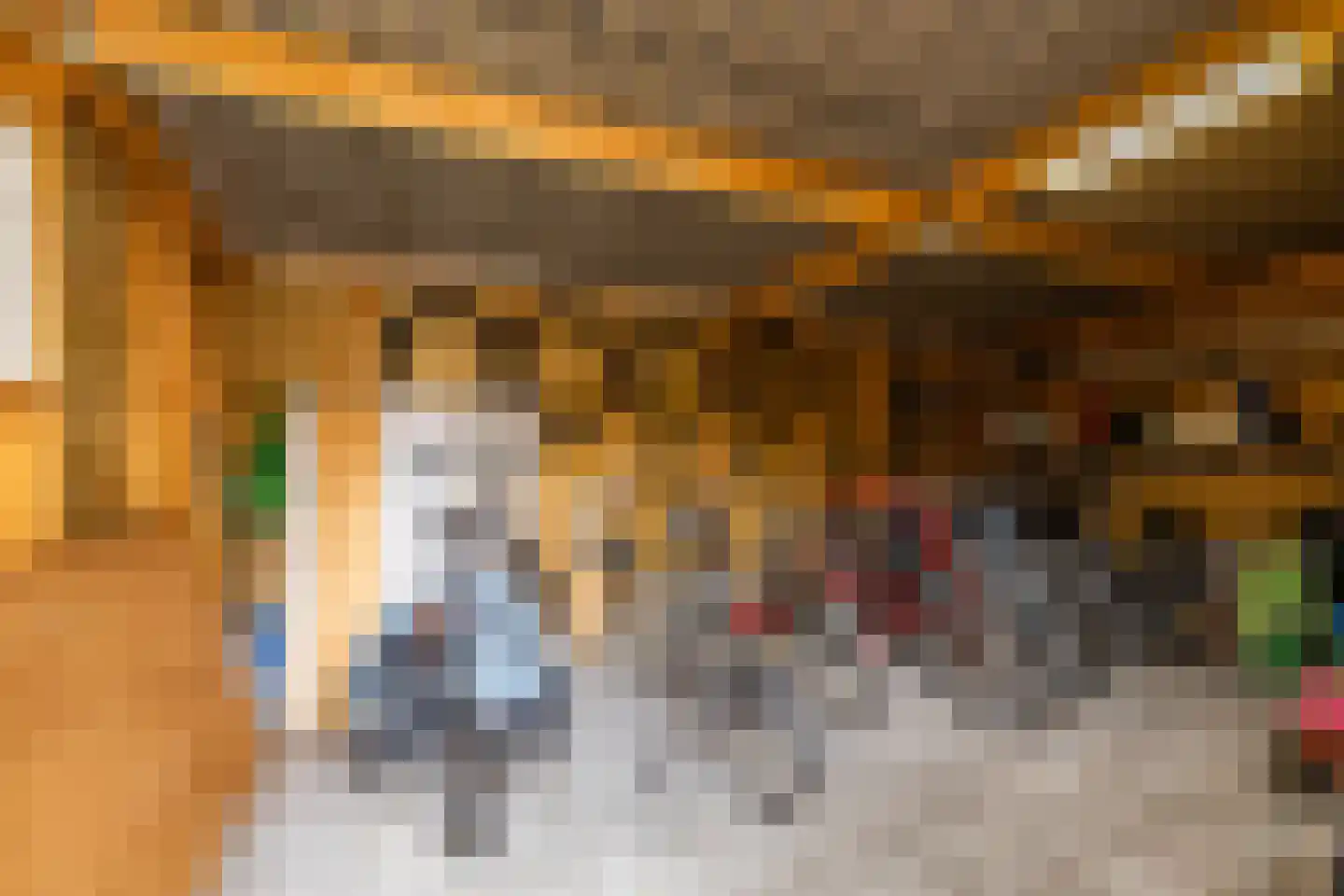 Fuutmesschen 14 Assen thumbnail 60