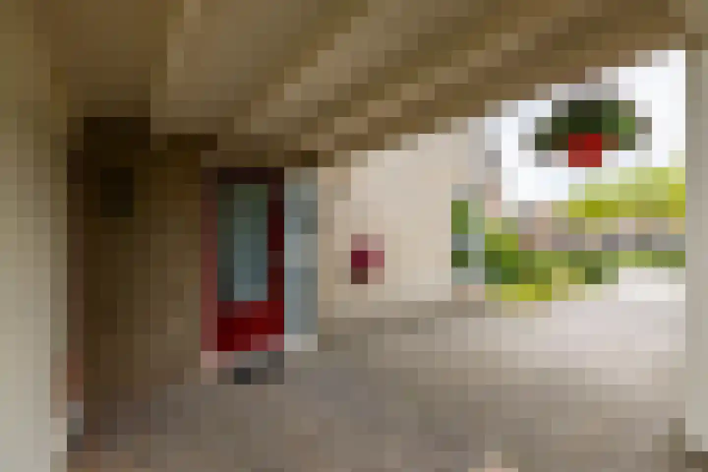 Fuutmesschen 14 Assen thumbnail 7