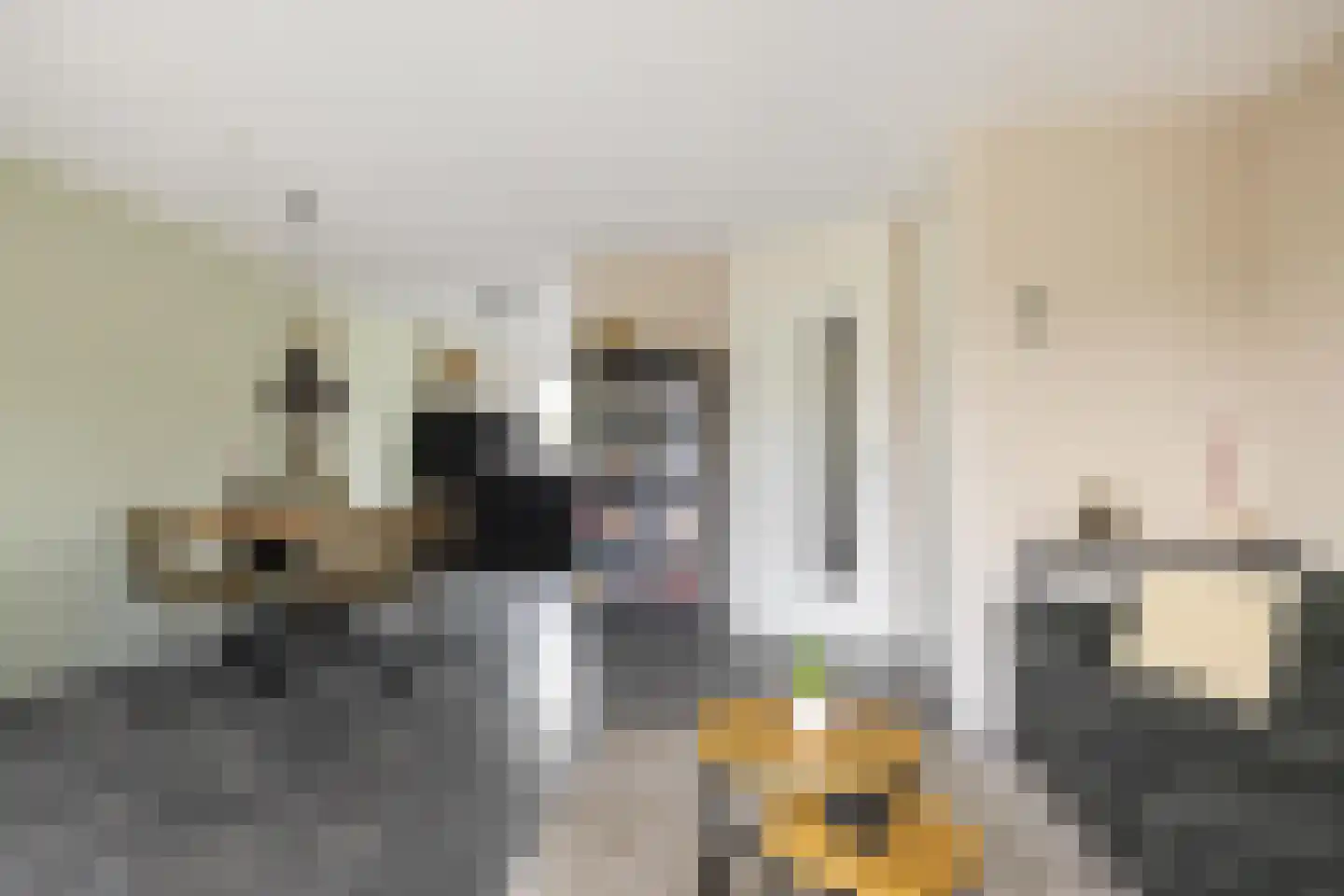 Fuutmesschen 15 Assen thumbnail 14