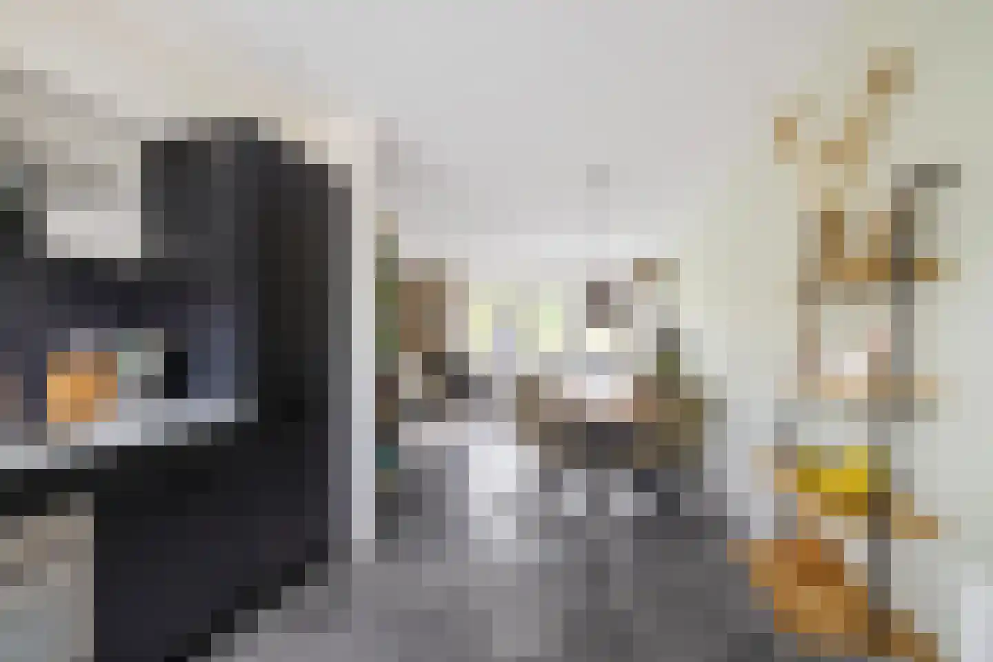 Fuutmesschen 15 Assen thumbnail 19