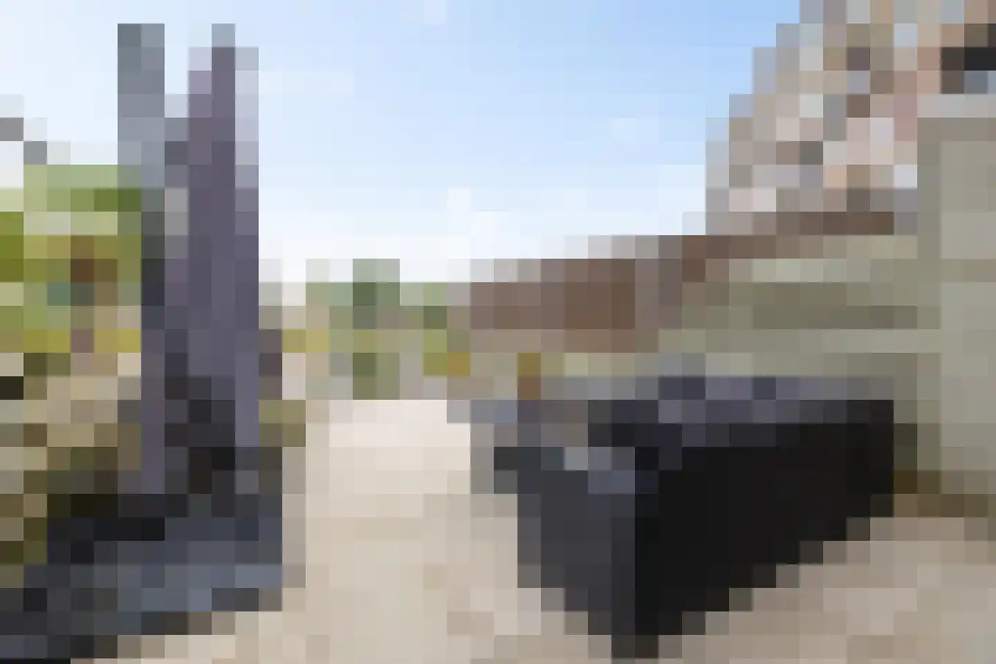 Fuutmesschen 15 Assen thumbnail 22