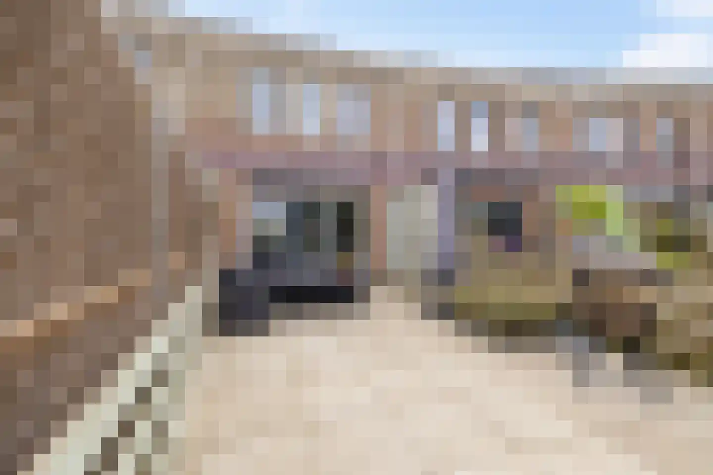 Fuutmesschen 15 Assen thumbnail 24