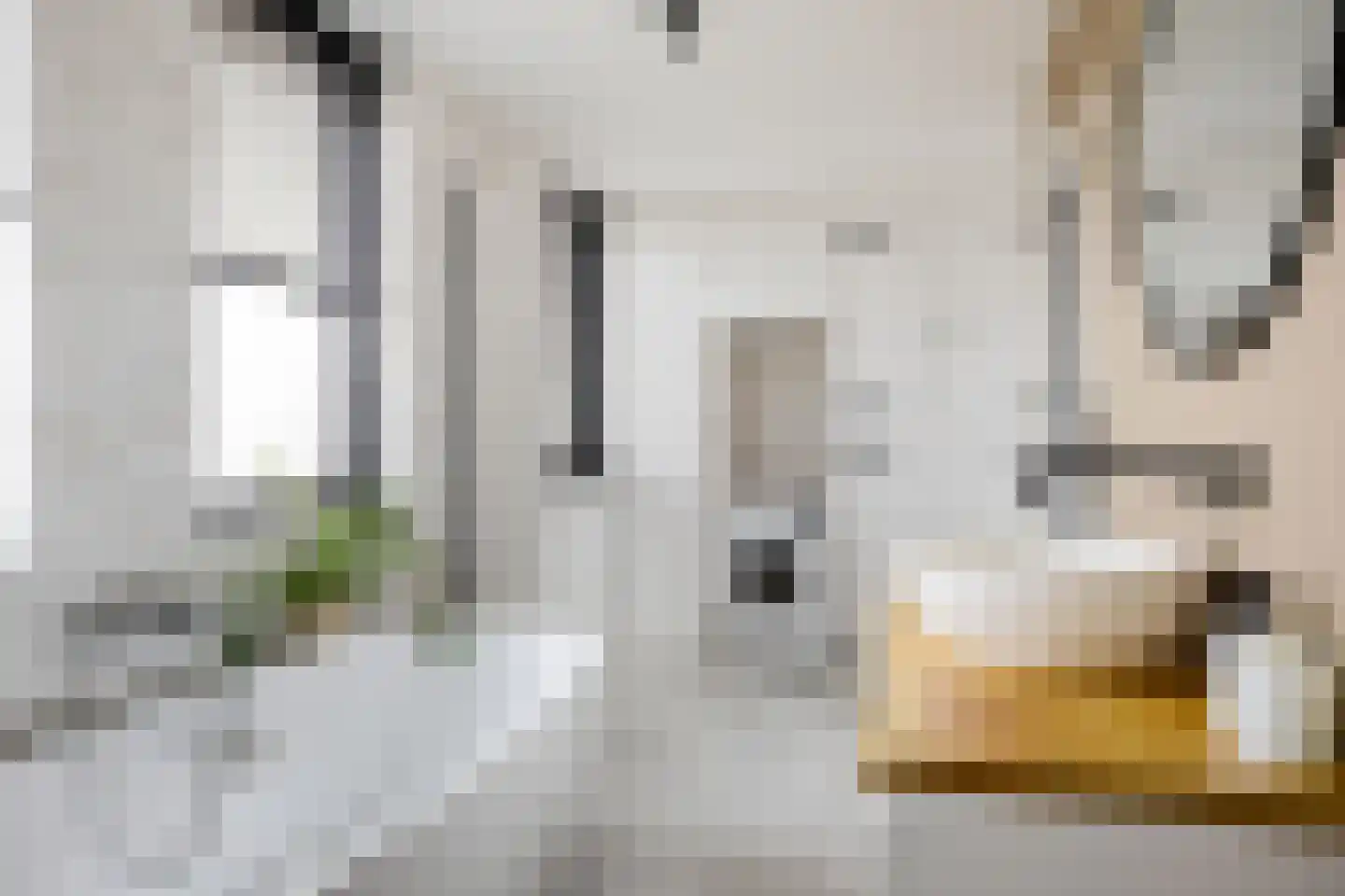 Fuutmesschen 15 Assen thumbnail 47