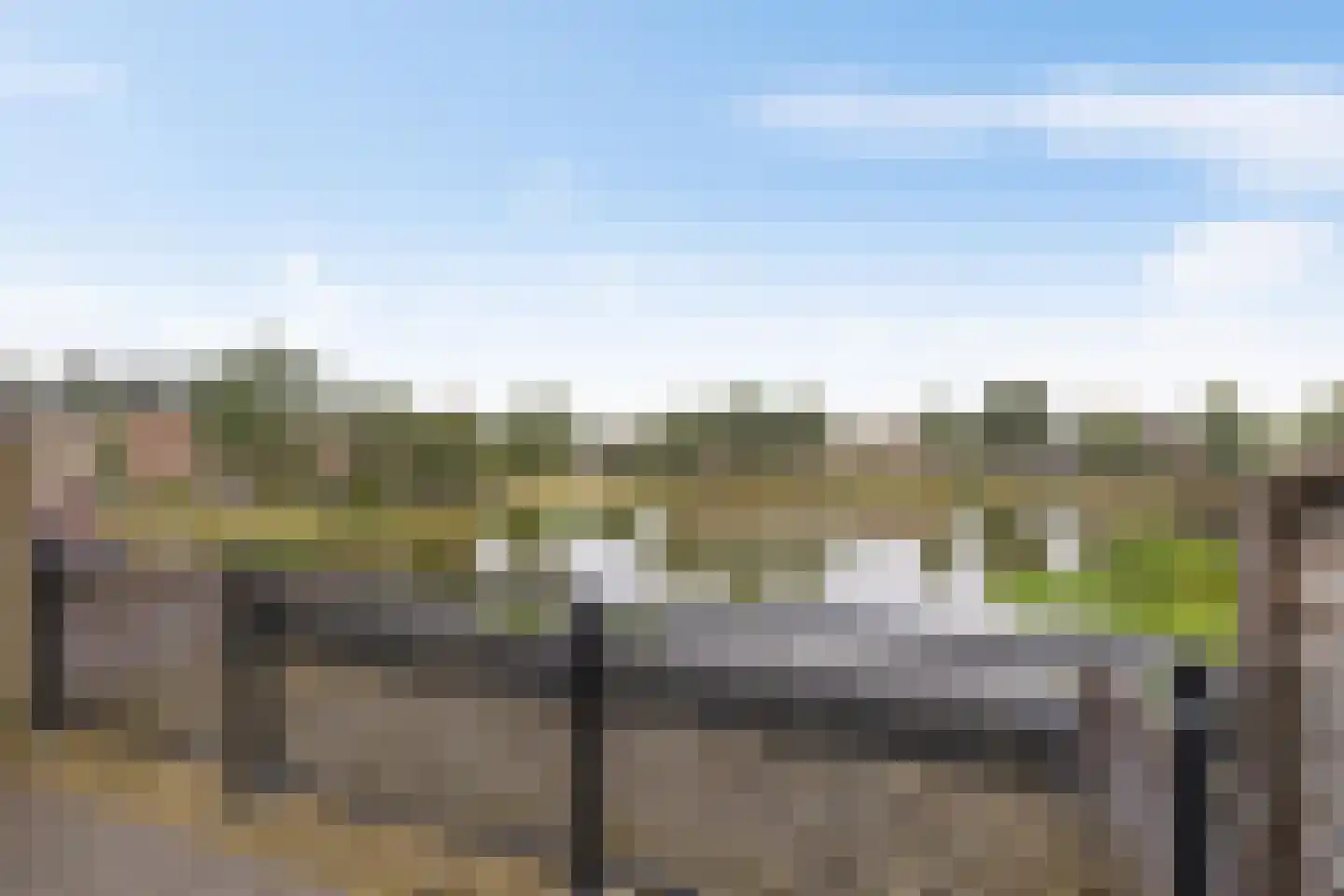 Fuutmesschen 15 Assen thumbnail 51