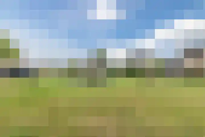 Fuutmesschen 33 Assen thumbnail 24