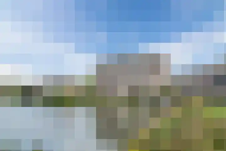 Fuutmesschen 33 Assen thumbnail 28