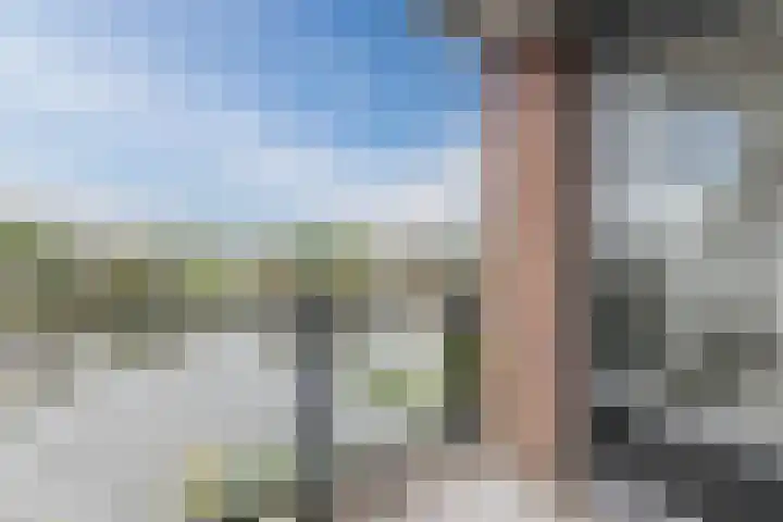 Fuutmesschen 41 Assen thumbnail 12