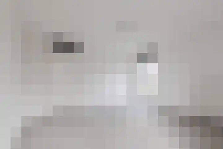 Fuutmesschen 41 Assen thumbnail 18