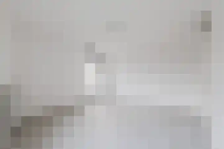Fuutmesschen 41 Assen thumbnail 19