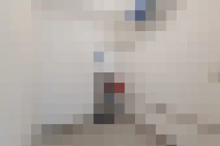 Fuutmesschen 41 Assen thumbnail 22
