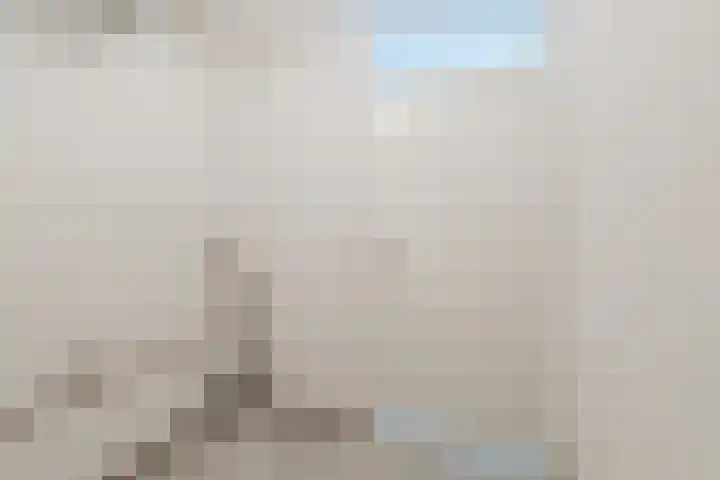 Fuutmesschen 41 Assen thumbnail 23
