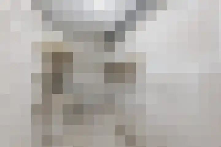 Fuutmesschen 41 Assen thumbnail 25