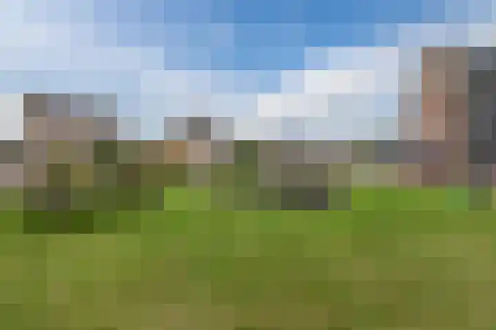 Fuutmesschen 41 Assen thumbnail 6