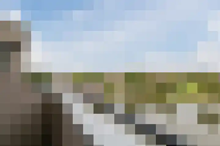 Fuutmesschen 61 Assen thumbnail 13