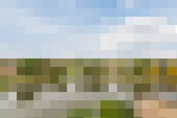 Fuutmesschen 61 Assen thumbnail 14