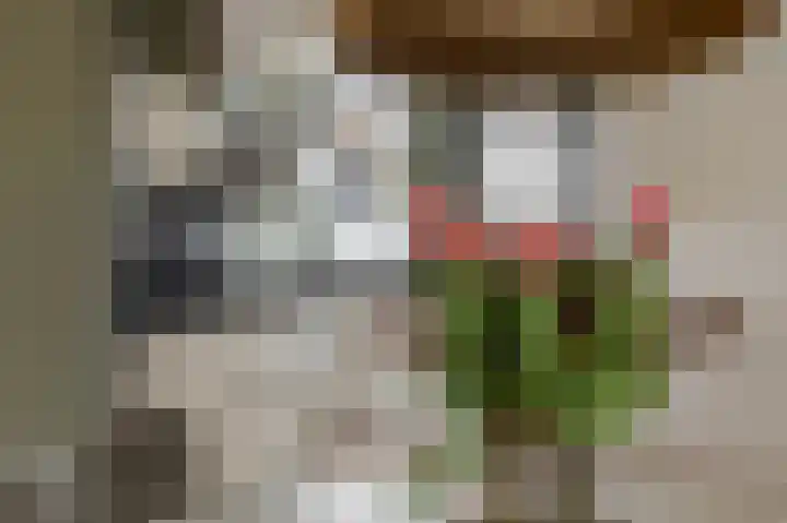 Fuutmesschen 81 Assen thumbnail 13