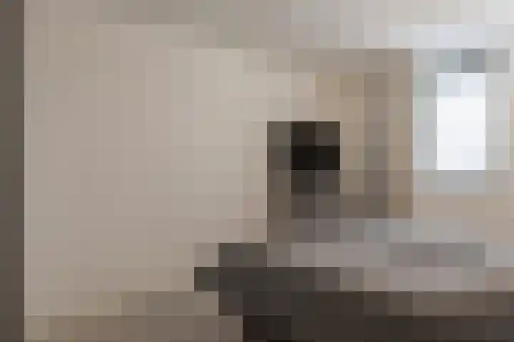 Fuutmesschen 81 Assen thumbnail 18