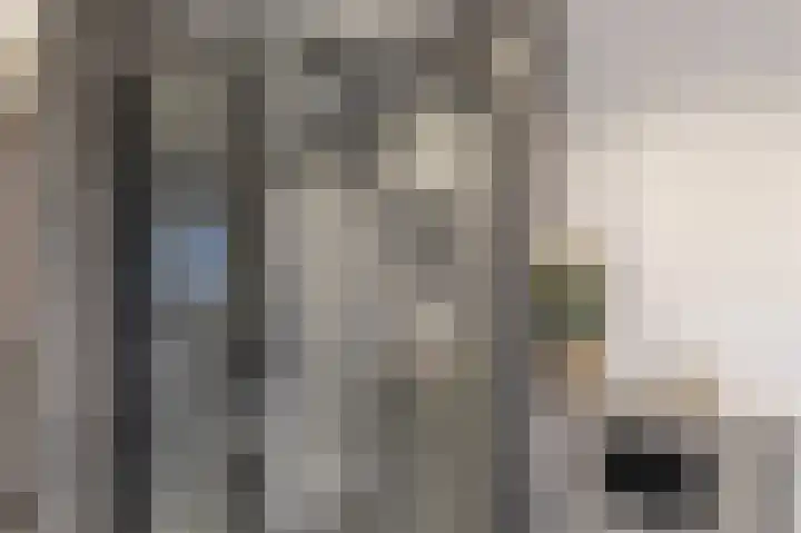 Fuutmesschen 81 Assen thumbnail 23