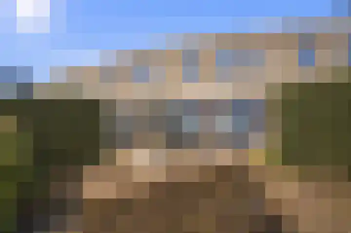 Fuutmesschen 81 Assen thumbnail 33
