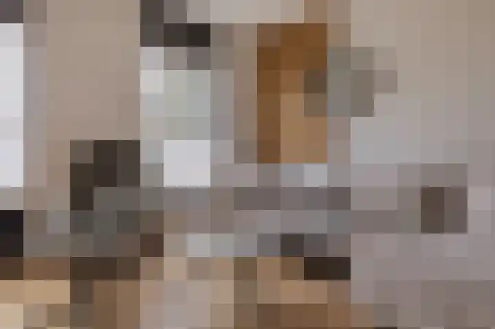Fuutmesschen 81 Assen thumbnail 8