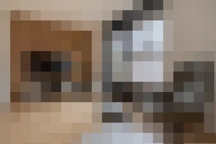 Fuutmesschen 81 Assen thumbnail 9