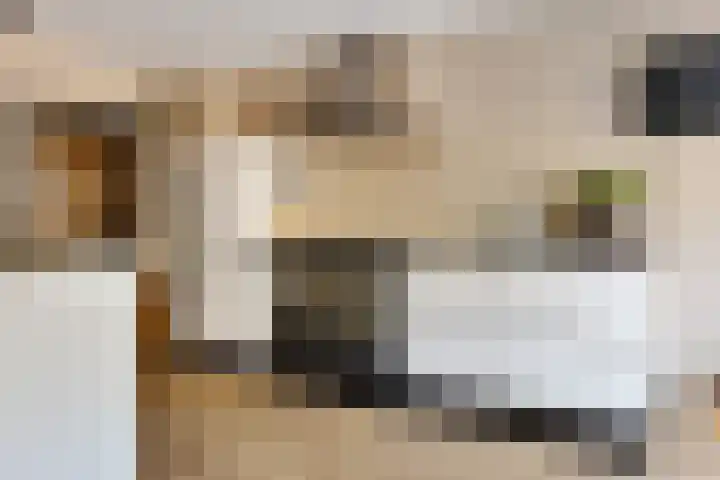 Fuutstraat 18 Velp thumbnail 11
