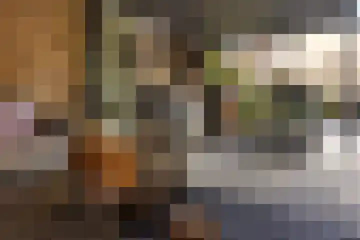 Fuutstraat 18 Velp thumbnail 23