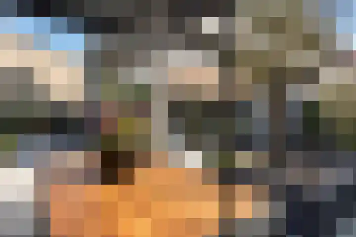 Fuutstraat 18 Velp thumbnail 24