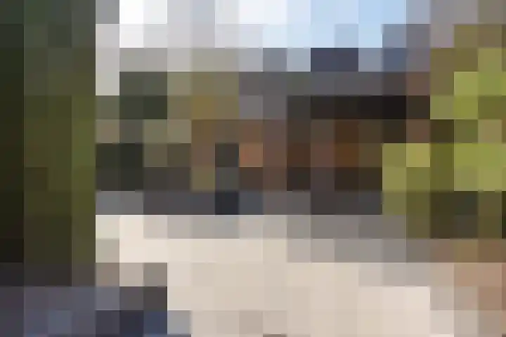 Fuutstraat 18 Velp thumbnail 29