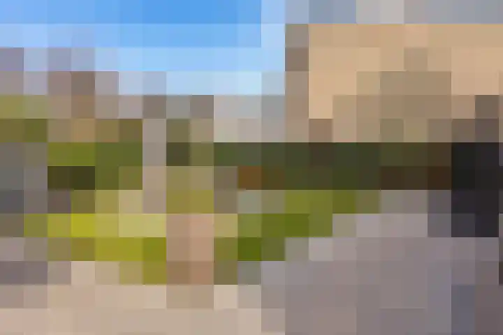 Fuutstraat 18 Velp thumbnail 30