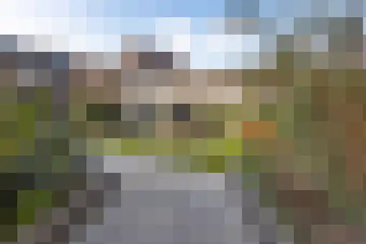 Fuutstraat 18 Velp thumbnail 34