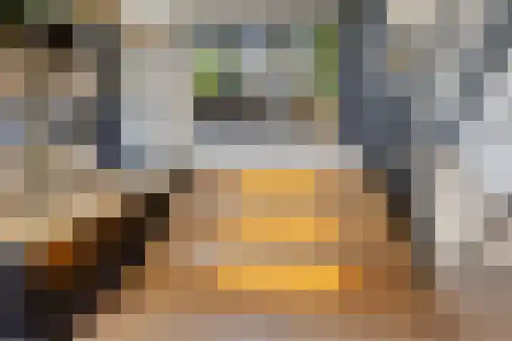 Fuutstraat 18 Velp thumbnail 39