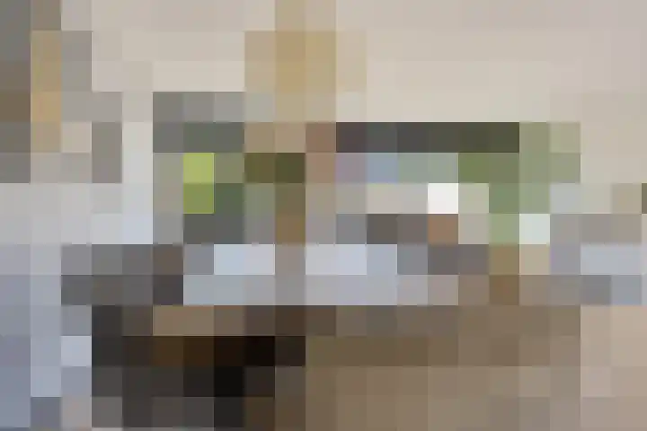 Fuutstraat 18 Velp thumbnail 44