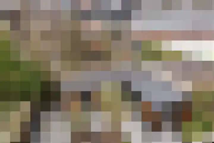 Fuutstraat 18 Velp thumbnail 69