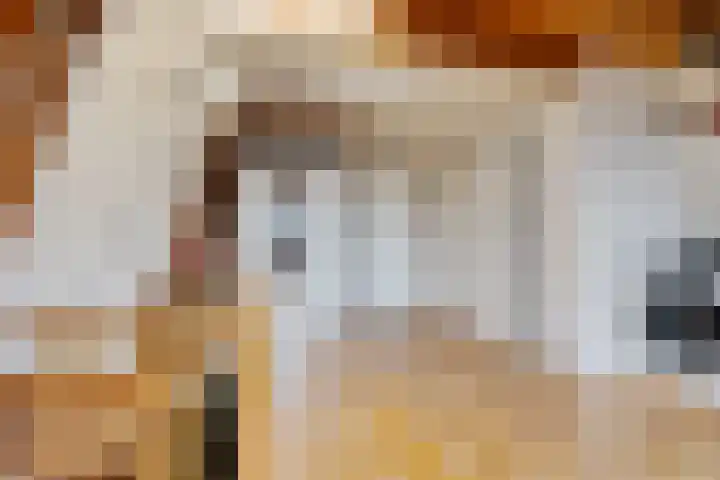Fuutstraat 18 Velp thumbnail 75