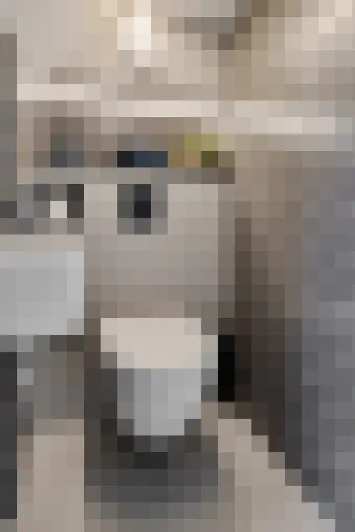 Fuutstraat 18 Velp thumbnail 9