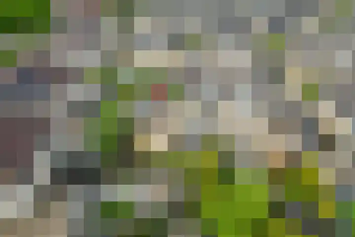 Fuutstraat 2 Tiel thumbnail 28