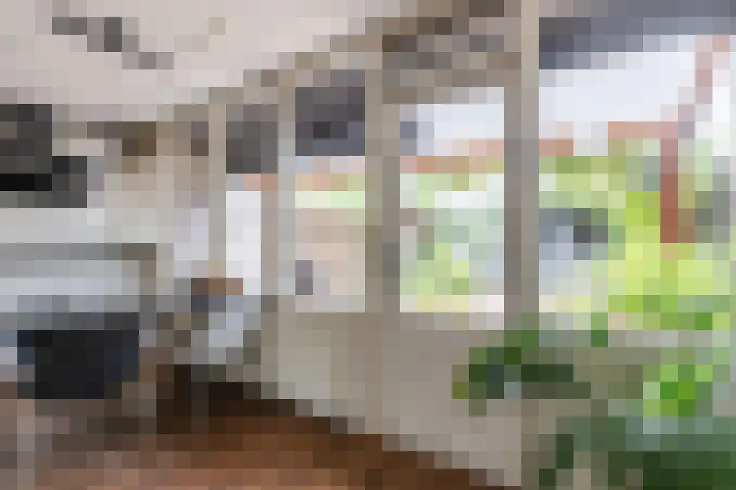 Fuutstraat 4 Velp thumbnail 15