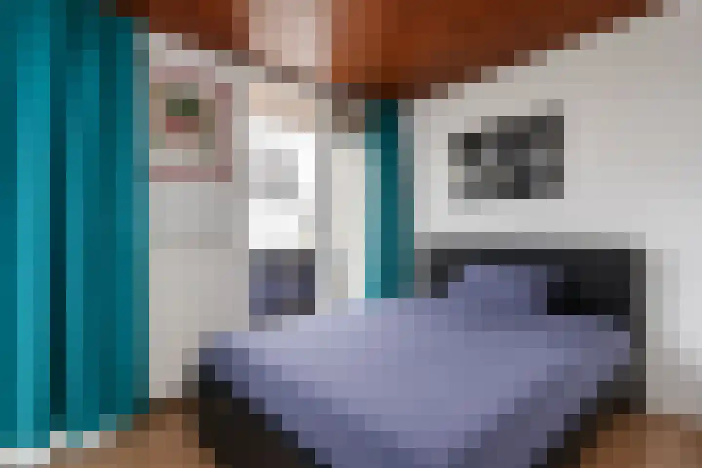 Fuutstraat 4 Velp thumbnail 24