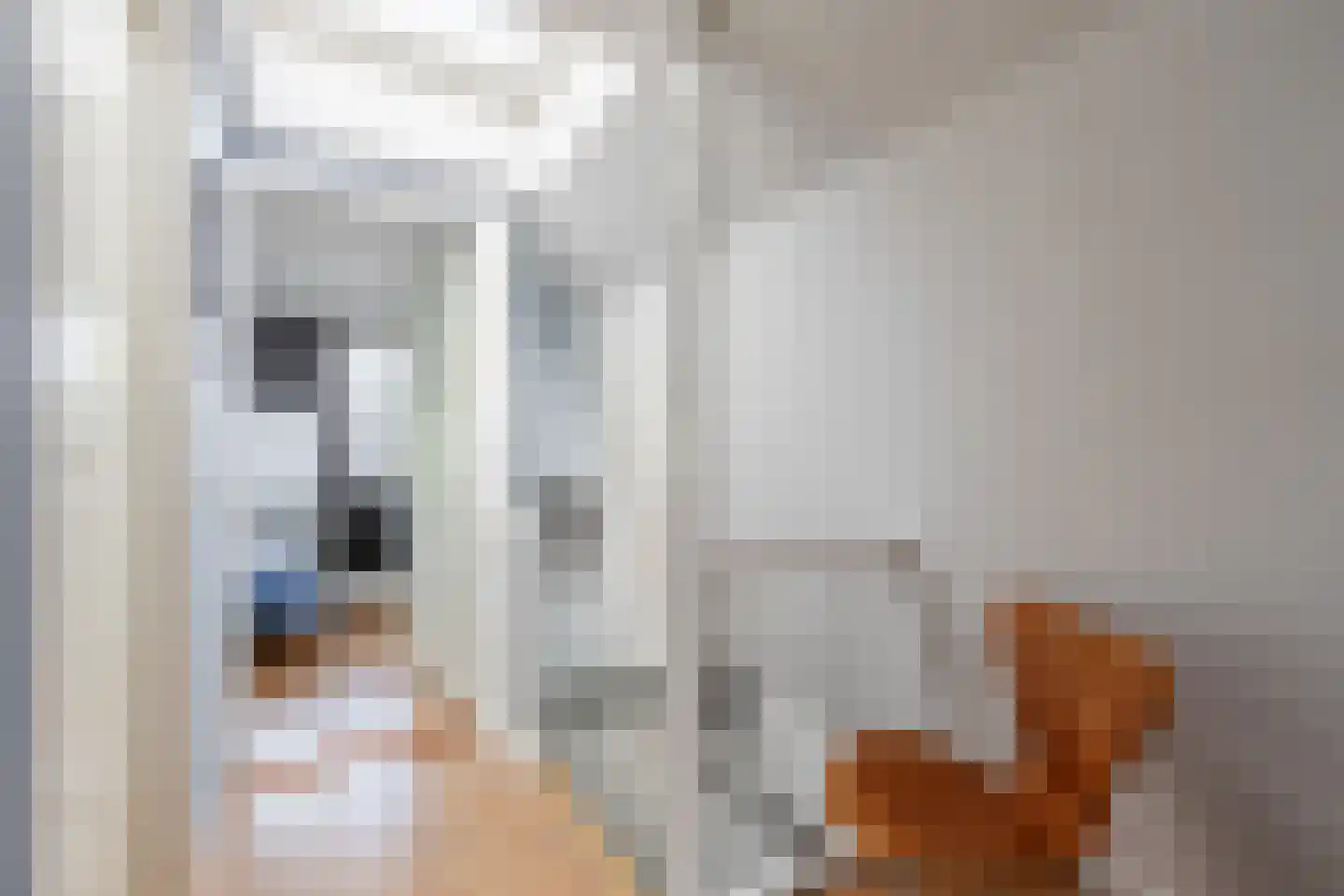 Fuutstraat 4 Velp thumbnail 28