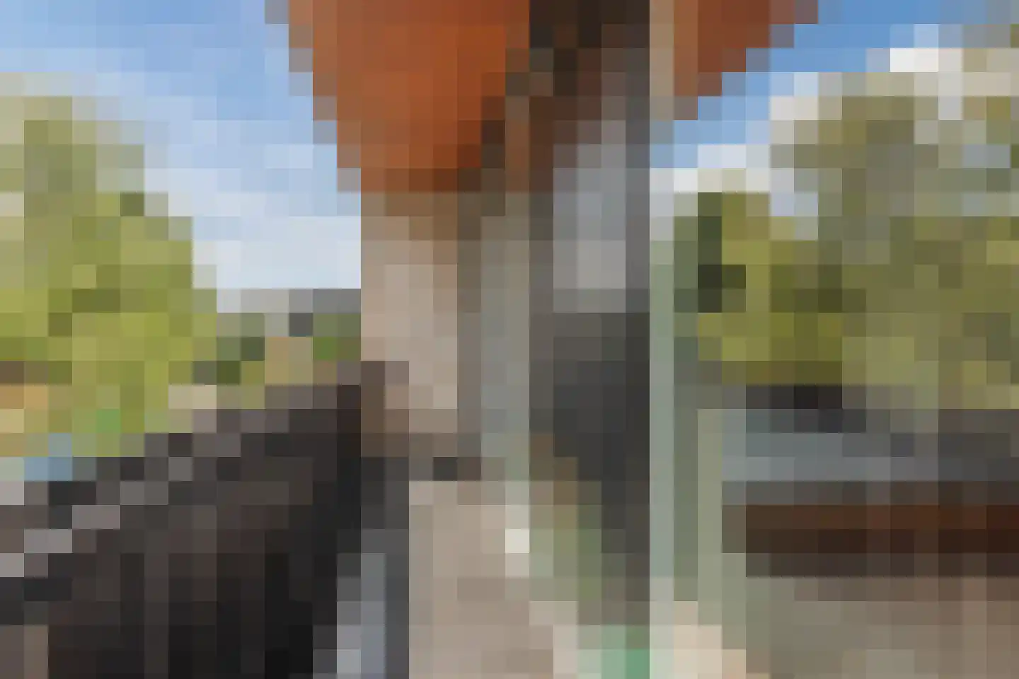 Fuutstraat 4 Velp thumbnail 33