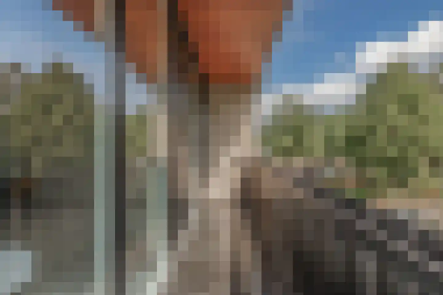 Fuutstraat 4 Velp thumbnail 34