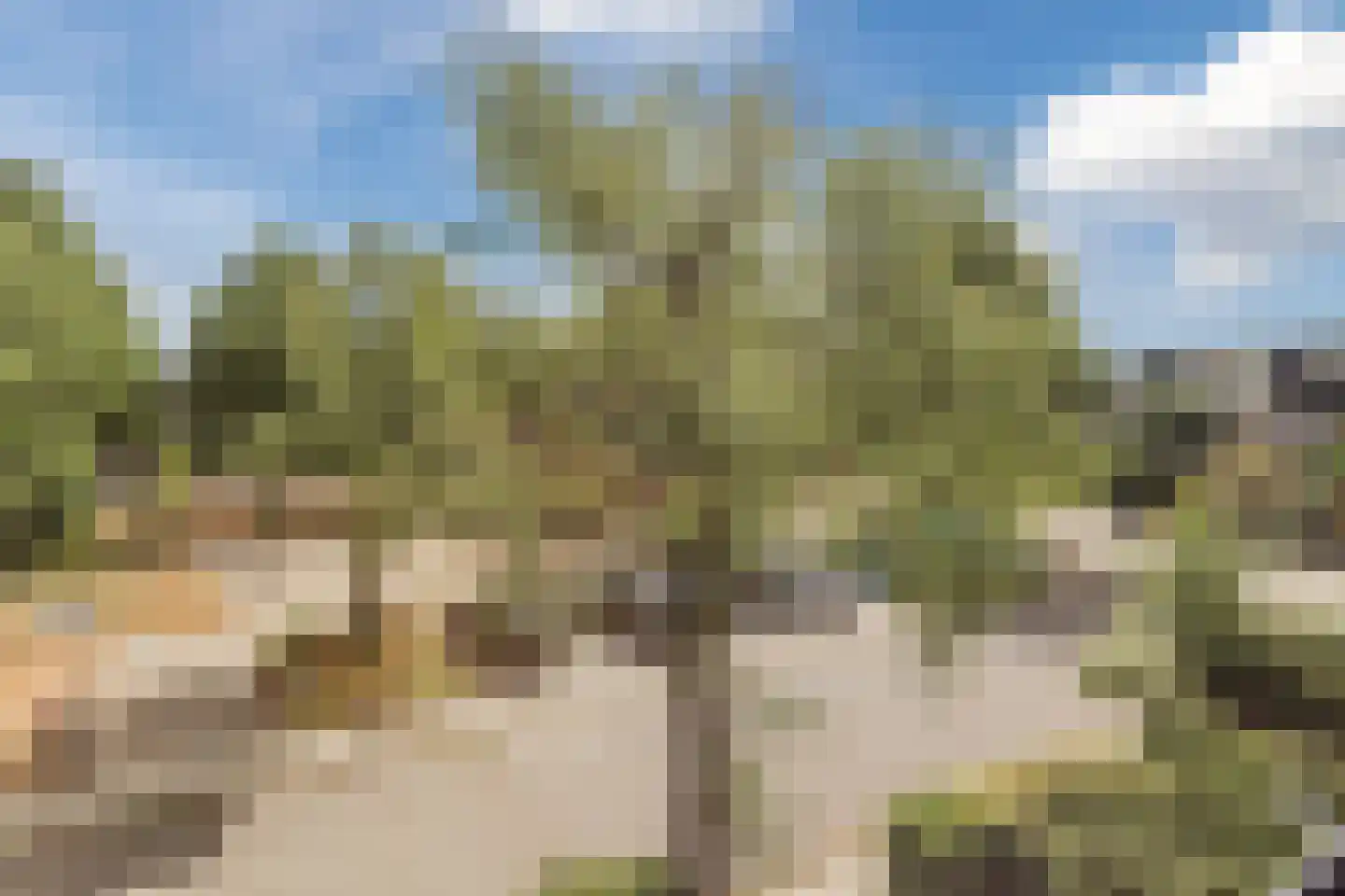 Fuutstraat 4 Velp thumbnail 35