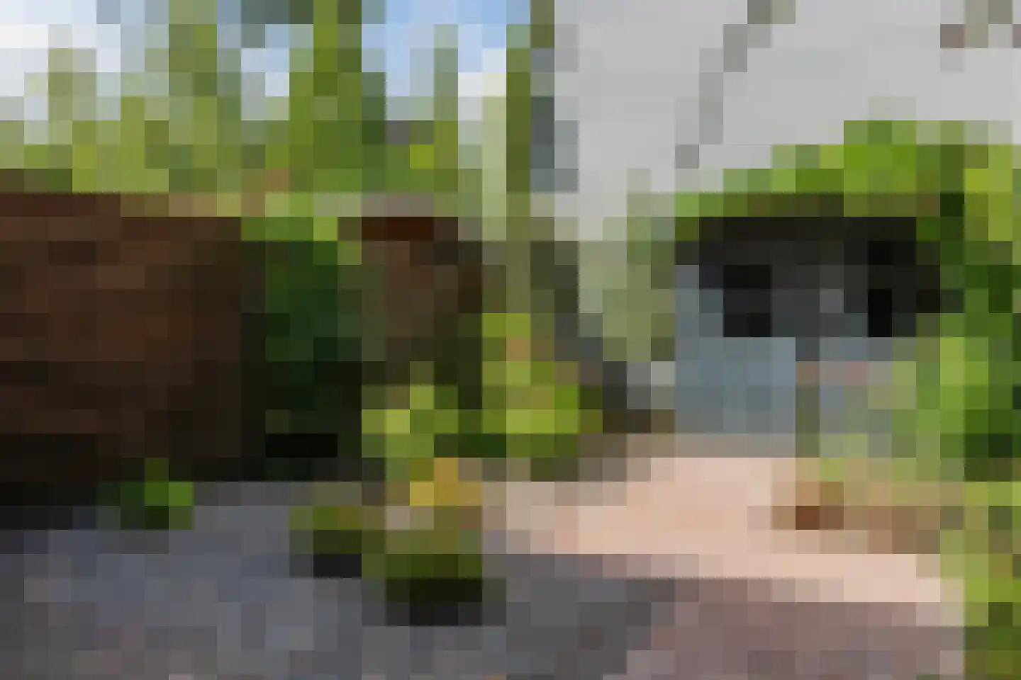 Fuutstraat 4 Velp thumbnail 43