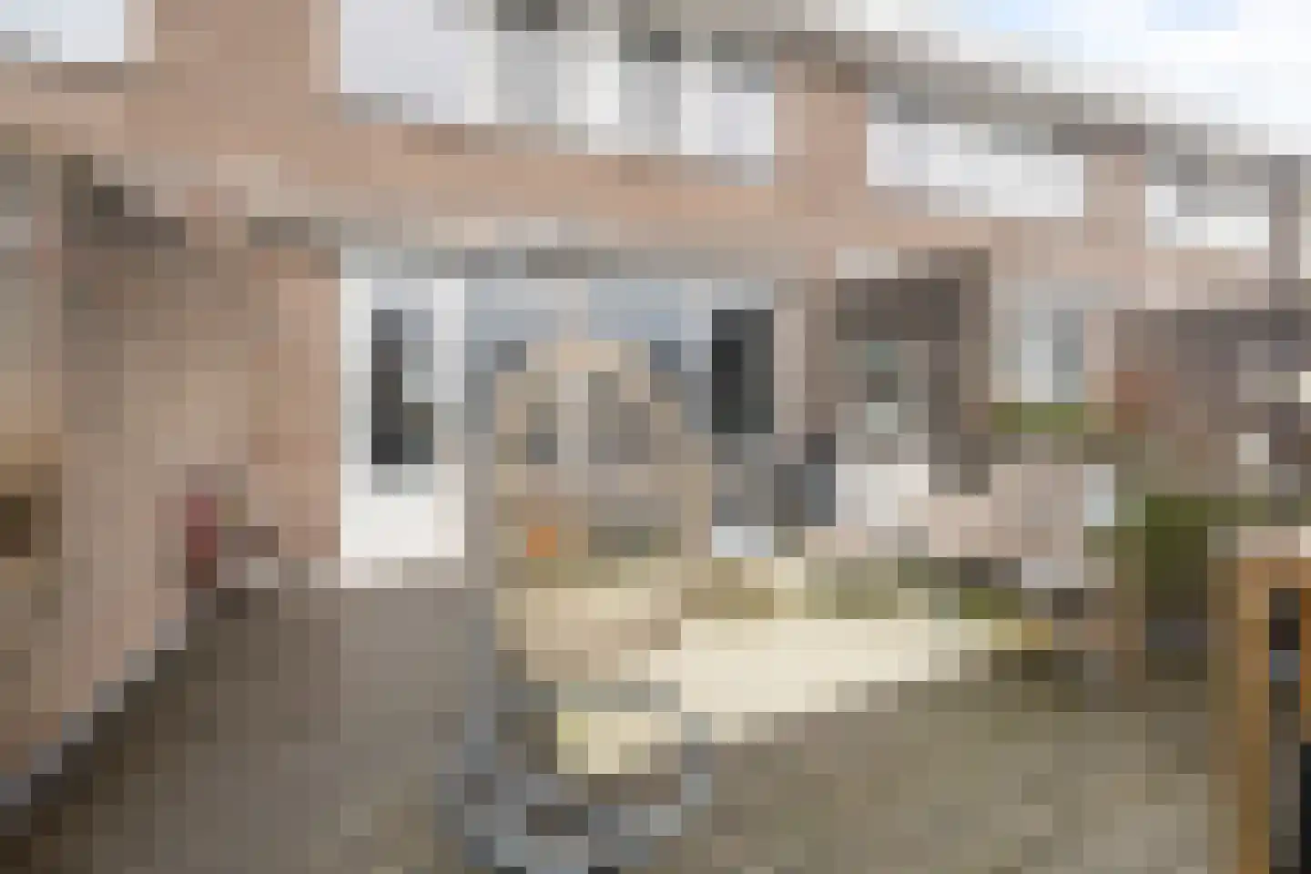 Fuutstraat 4 Wormer thumbnail 14