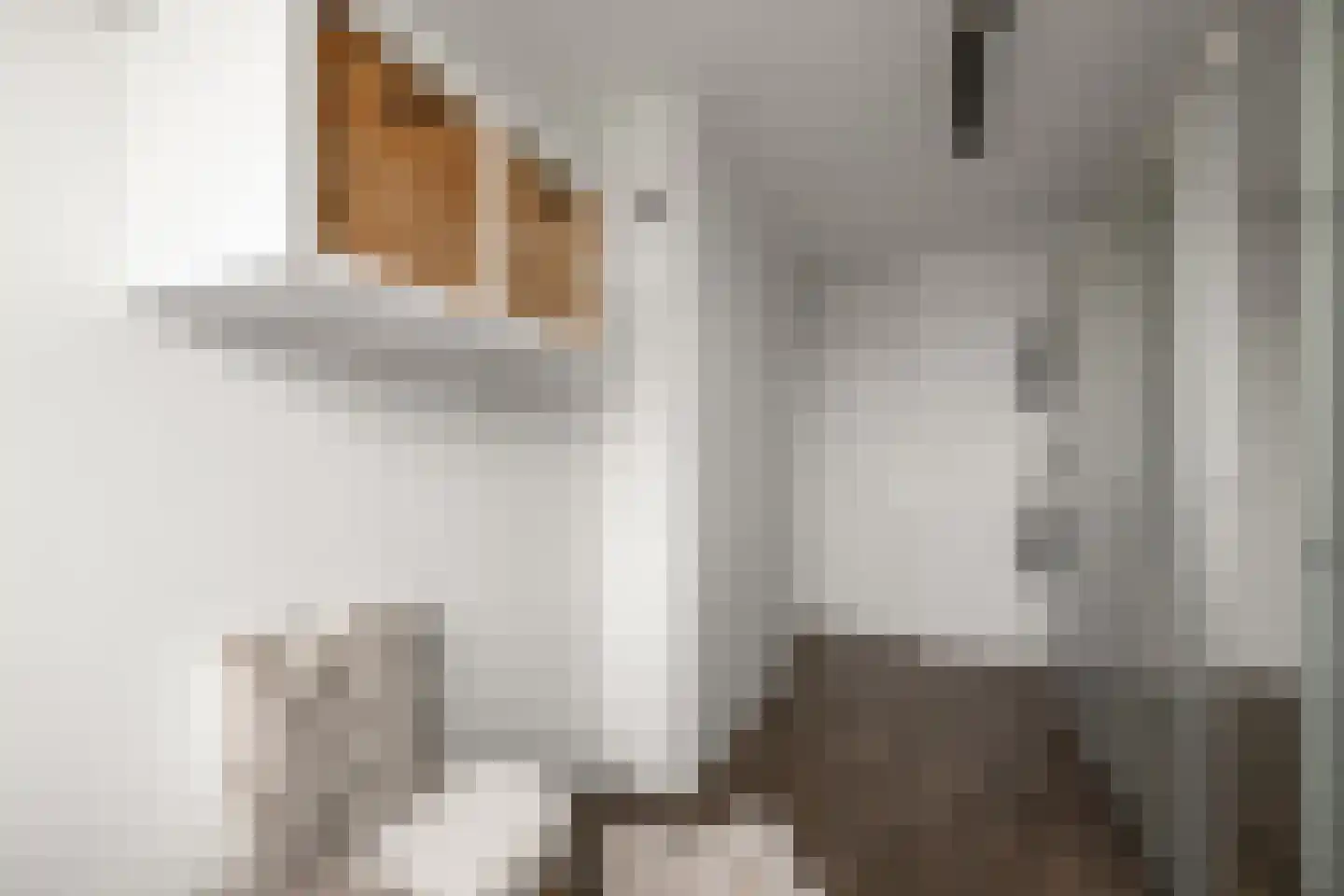 Fuutstraat 4 Wormer thumbnail 31