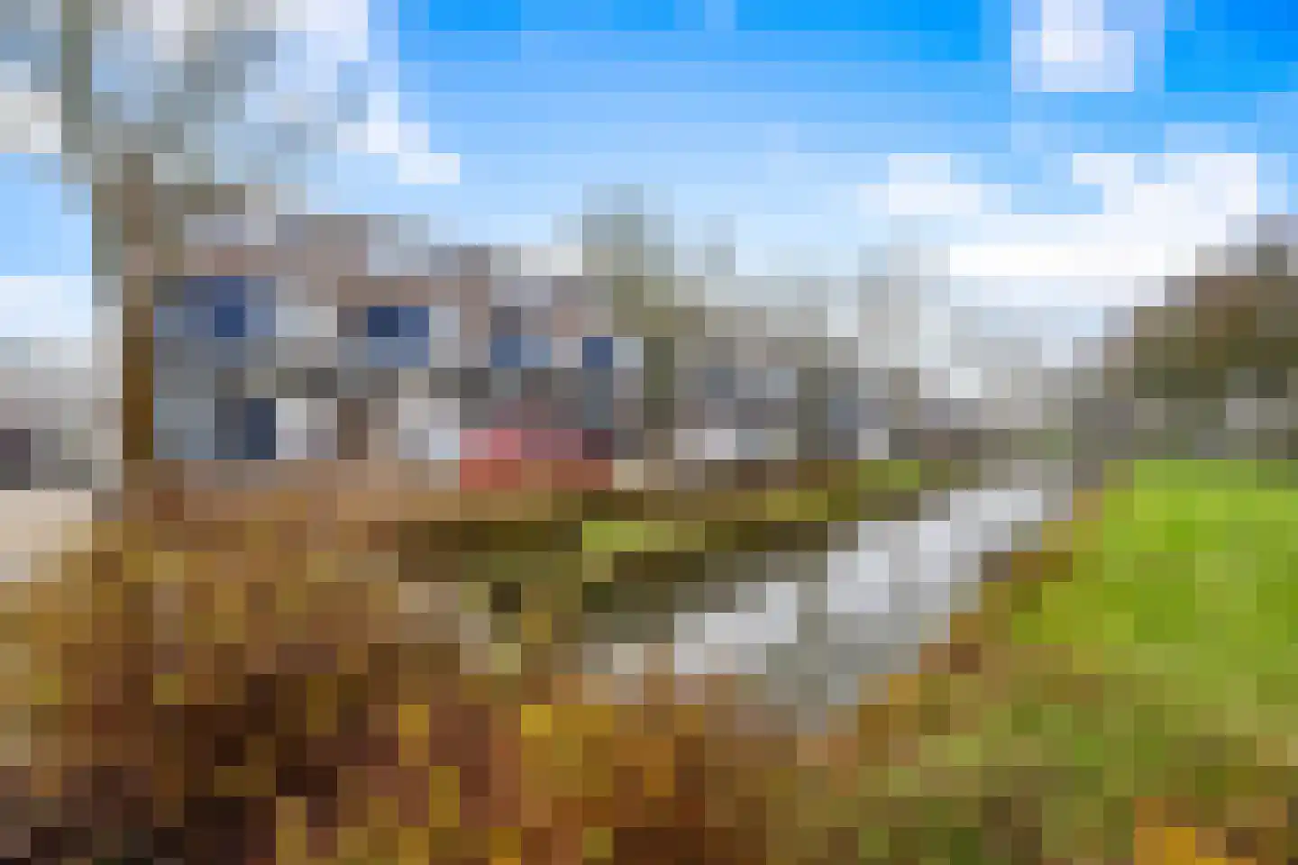 Fuutstraat 4 Wormer thumbnail 34