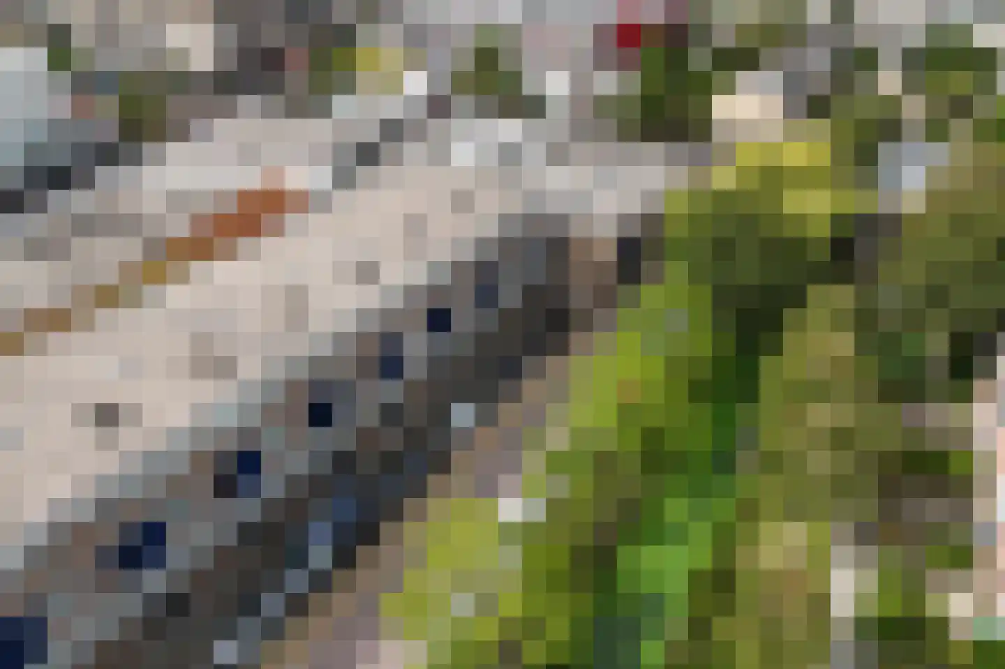 Fuutstraat 4 Wormer thumbnail 37
