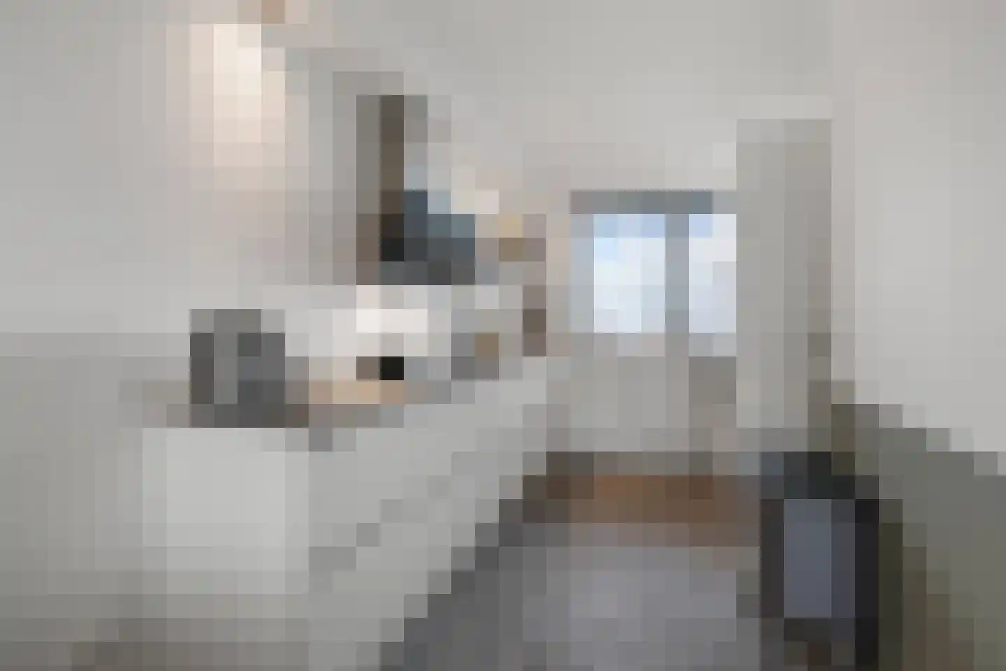 Fuutstraat 4 Wormer thumbnail 8