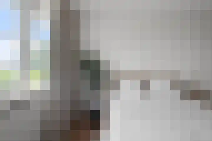 Fuutstraat 6 Wormer thumbnail 21